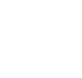 Studio Black Flag